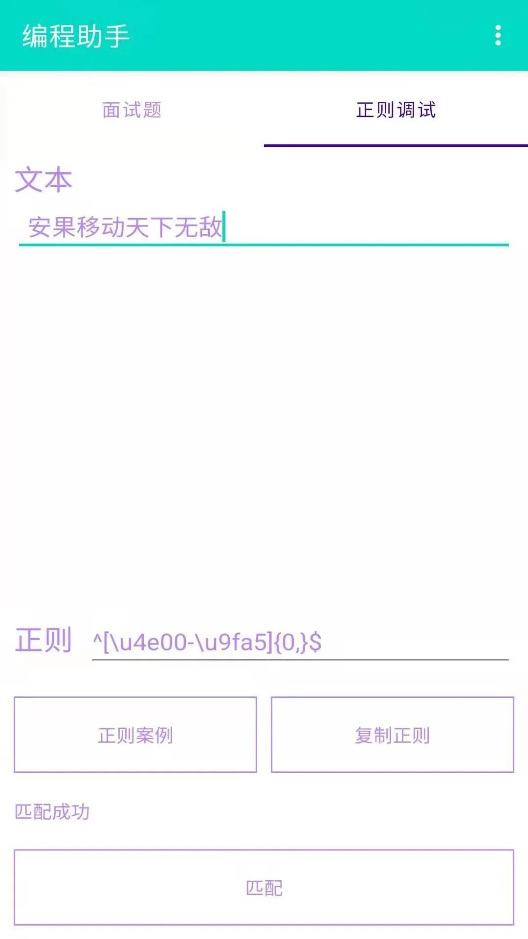 编程助手